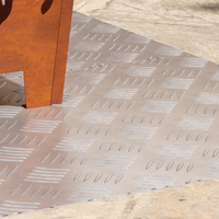 Piastre in Alluminio Antiscivolo 2 pz 90x50 cm