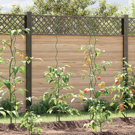 Supports per piante a spirale  20 pz 170 cm acciaio