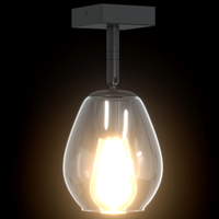 Lampade da soffitto  con paralume in vetro regolabile antracite E27