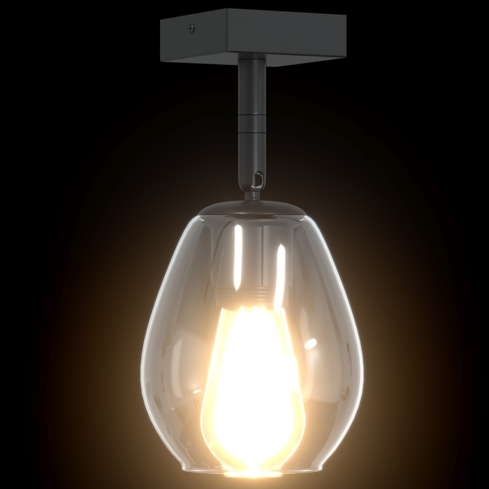 Lampade da soffitto  con paralume in vetro regolabile antracite E27