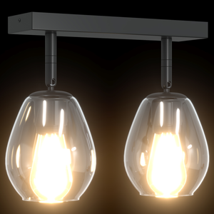 Lampade da soffitto con paralume in vetro regolabile Anthracite E27