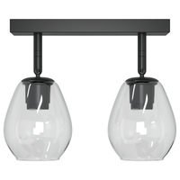 Lampade da soffitto con paralume in vetro regolabile Anthracite E27