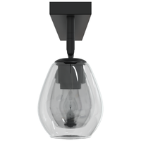 Lampade a soffitto con paralume in vetro regolabile in antracite E27