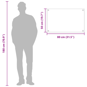 Schienale Cucina Grigio Scuro 80x50x0.6 cm Vetro Temperato