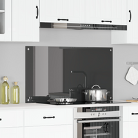 Schienale da cucina  grigio scuro 110x60x0,6 cm in vetro temperato