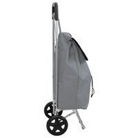 Carrello della Spesa  con Ruote Grigio 35 L