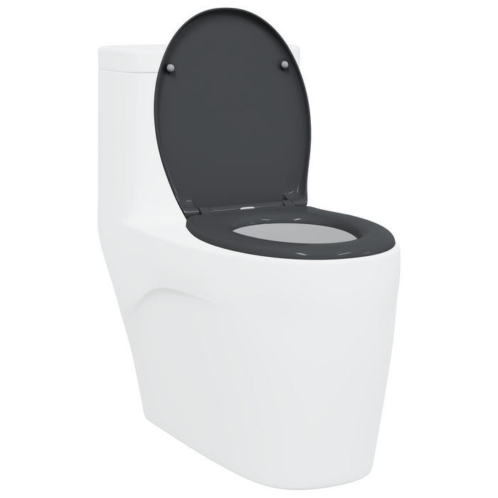 Sedile del WC a rilascio rapido con chiusura morbida Duroplast Antracite