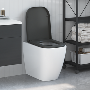 Sedile del WC a rilascio rapido con chiusura morbida in Duroplast Antracite
