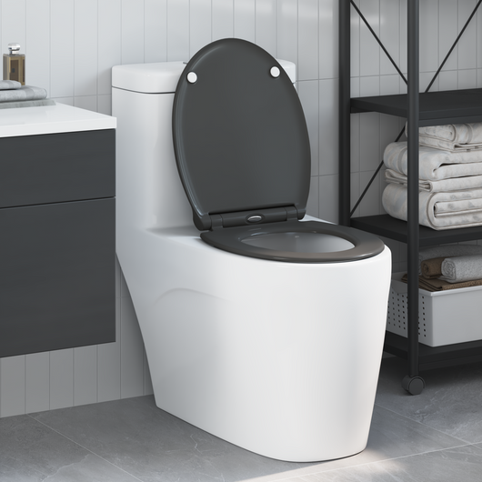 Toilette a rilascio rapido  con chiusura morbida in Duroplast Antracite