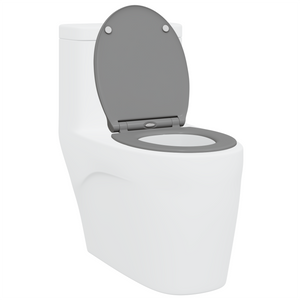 Toilette con Chiusura Morbida in Duroplast Grigia