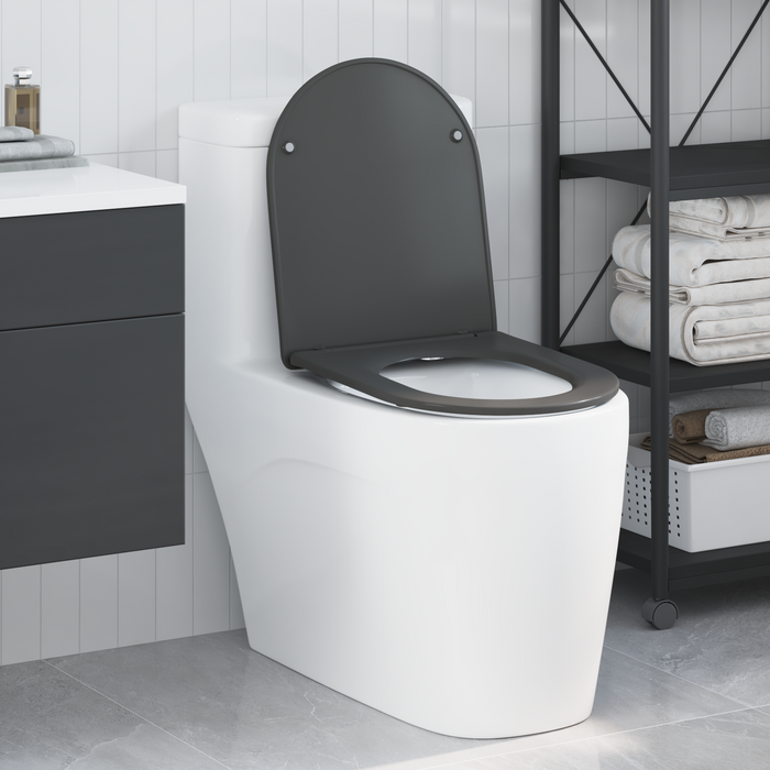 Sedile del WC con Chiusura Morbida in Duroplast Antracite di