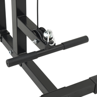Macchina per Lat Pulldown con Sedia Regolabile 80 kg Caricabile in Acciaio