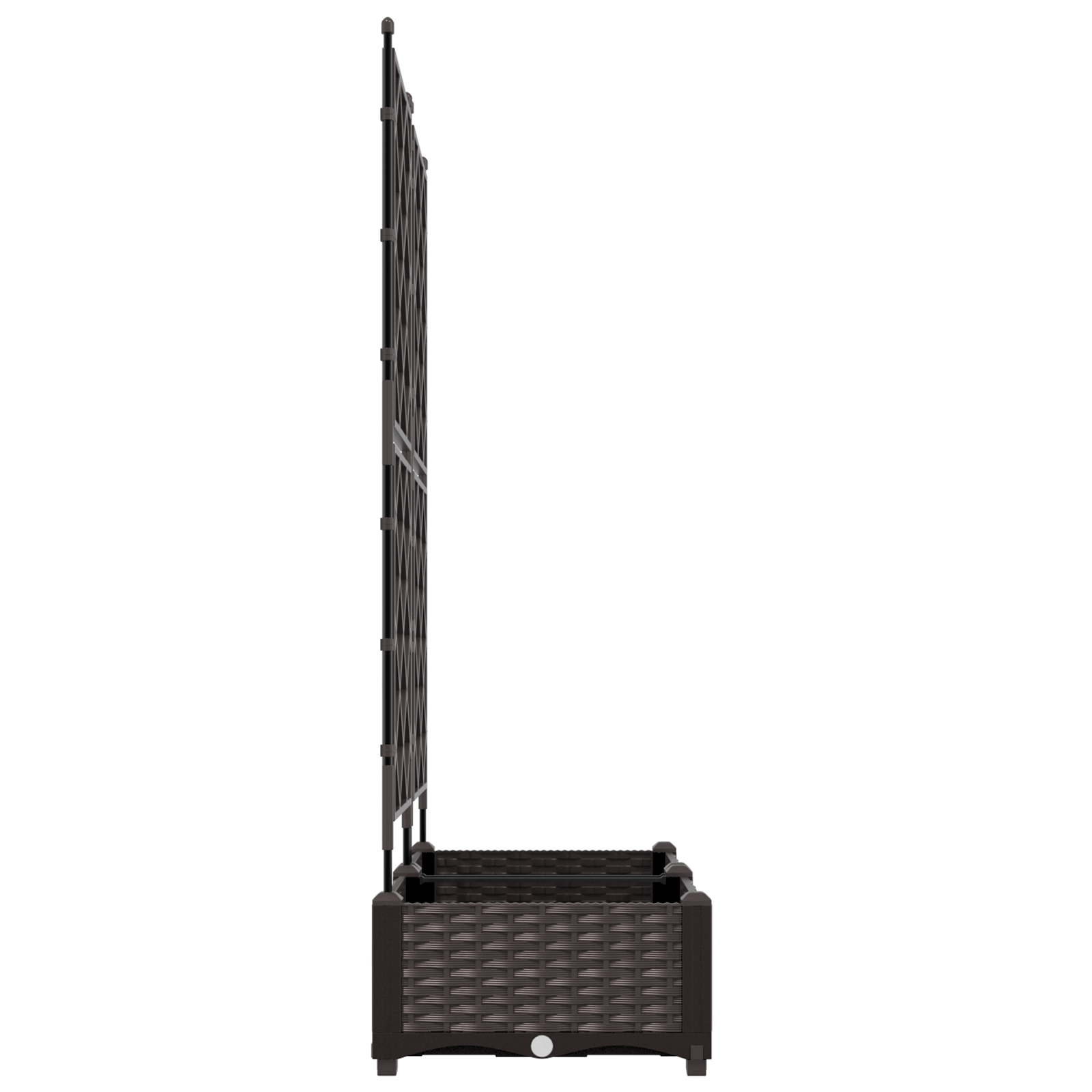 Fioriera con Traliccio 2 pz Marrone 80x40x125.5 cm