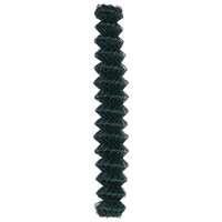 Recinto a Maglie di Chain Verde 1.5x10 m Acciaio
