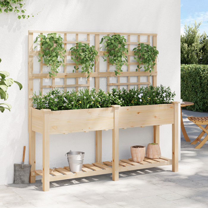 Vaso da Giardino  con Trellis e Ripiano 161x43x152 cm in Legno Massello di Pino