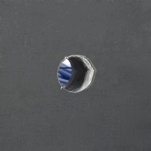 Spazzole per Bovini da Muro 50x10x6.5 cm