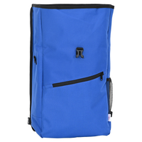 Borsa da portapacchi blu 25 L 33x16x48 cm