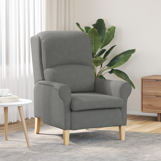 Poltrona Grigia Scura Grigio Scuro Tessuto e Legno Standard