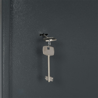 Scatola Sicura con Serratura a Chiave Grigio Scuro 31x35x50 cm Acciaio