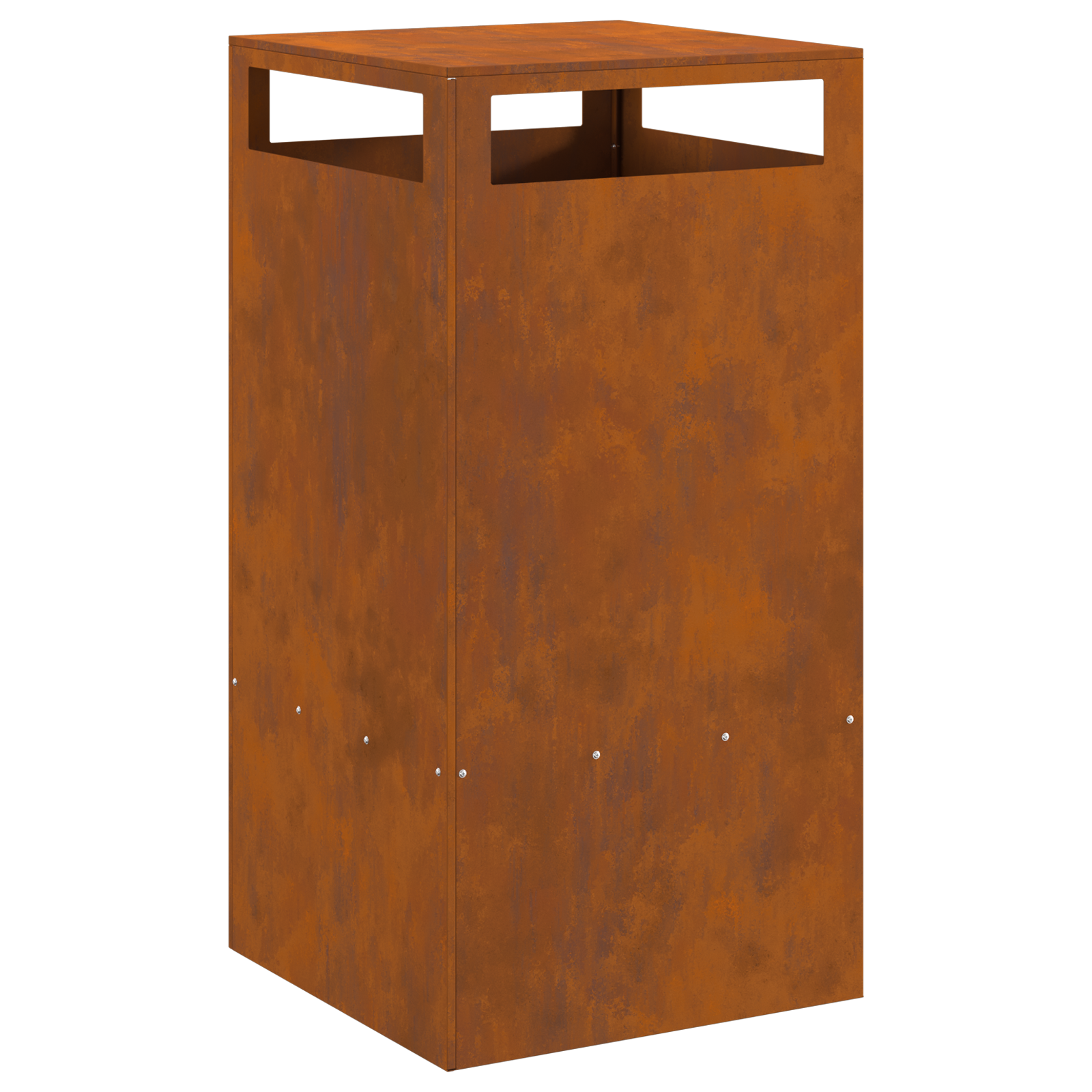 Focolare 50x50x100 cm Acciaio inossidabile