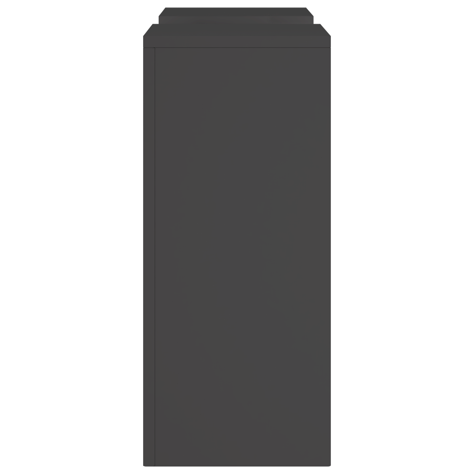 Supporti per Piante da Esterno Colonna 2 pz Nero 24x24x55 cm Acciaio