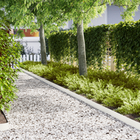 Bordi per Prato 50 pz Bianco 100x0.5x15 cm Plastica