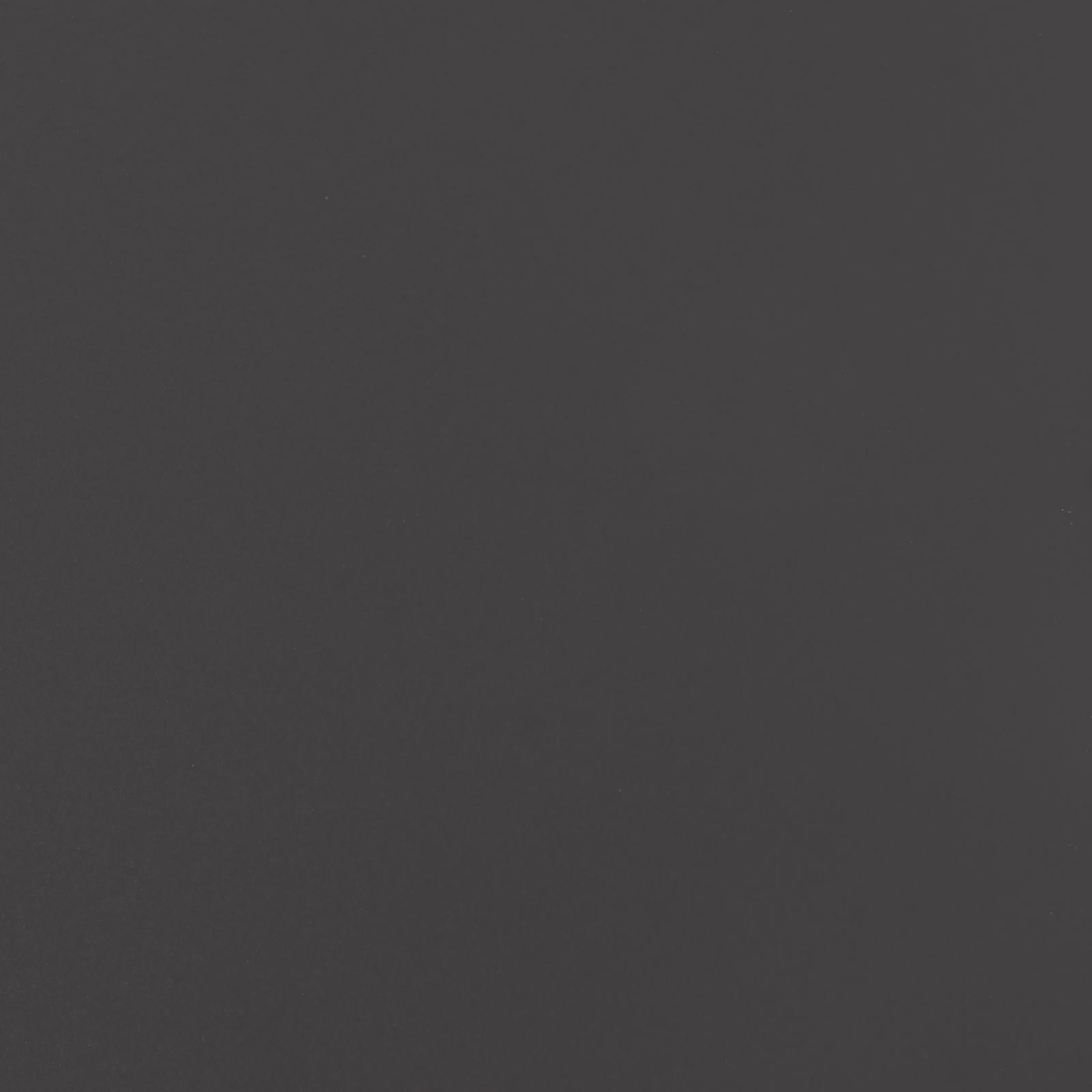 Schermo di Privacy 180 cm Acciaio Nero