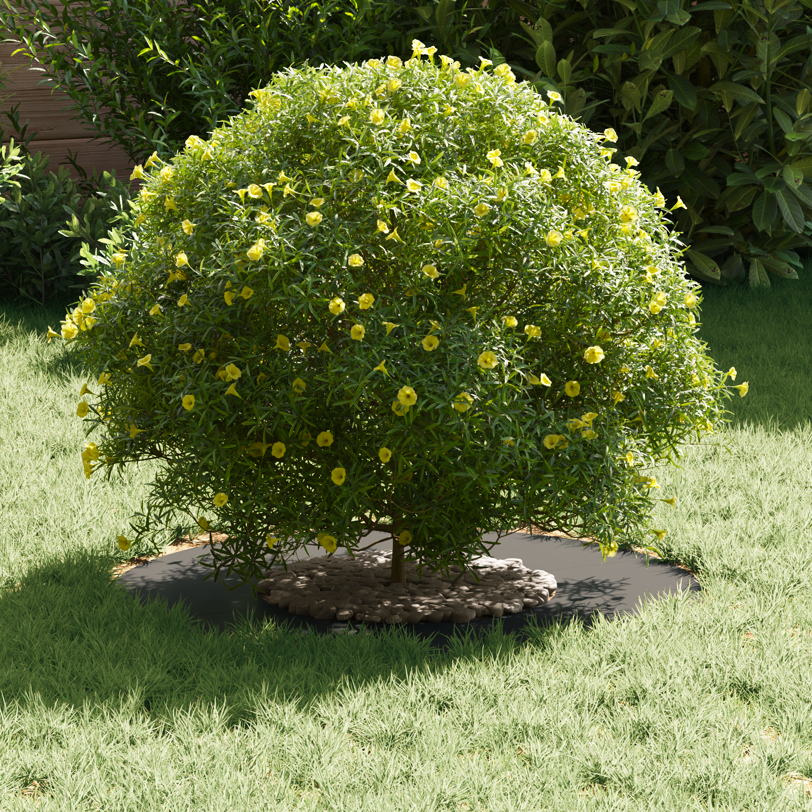 Fioriera in Metallo Nera Metallo 60 x 60 x 1.3 cm