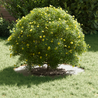 Fioriera in Ceramica Bianca Ceramica Grande Rotonda Moderna