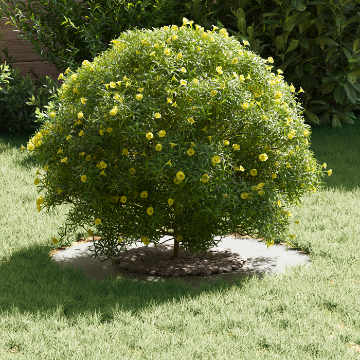 Fioriera in Ceramica Bianca Ceramica Grande Rotonda Moderna