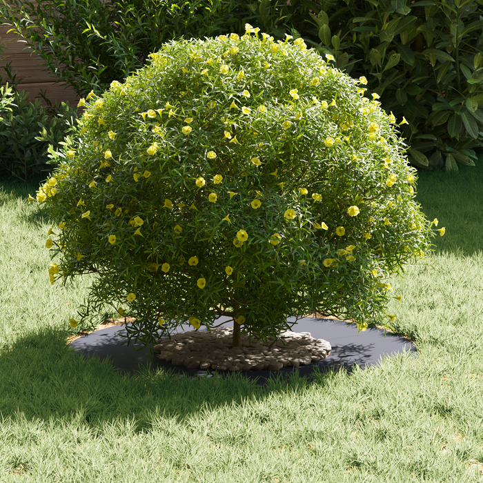 Fioriera in Resina Antracite Resina Media Fioriere