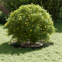 Fioriera di plastica Verde oliva Plastica Grande Fioriera