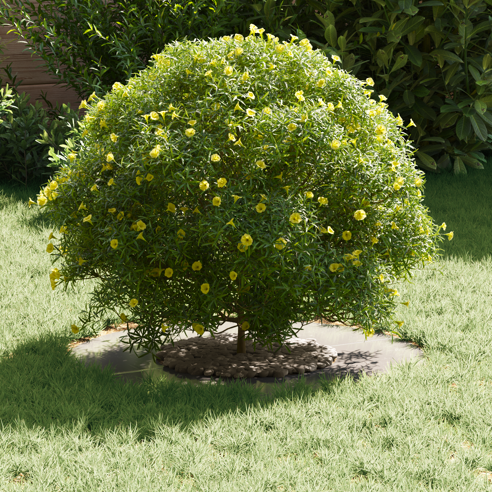 Fioriera in Acciaio Inox Acciaio Inossidabile Medio