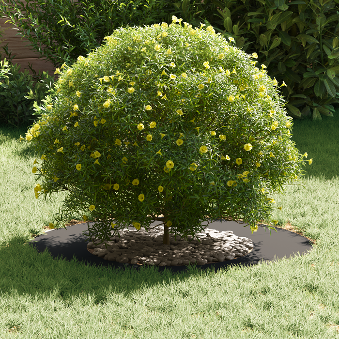 Anello per fioriera in metallo Nero Metallo 70 cm di diametro