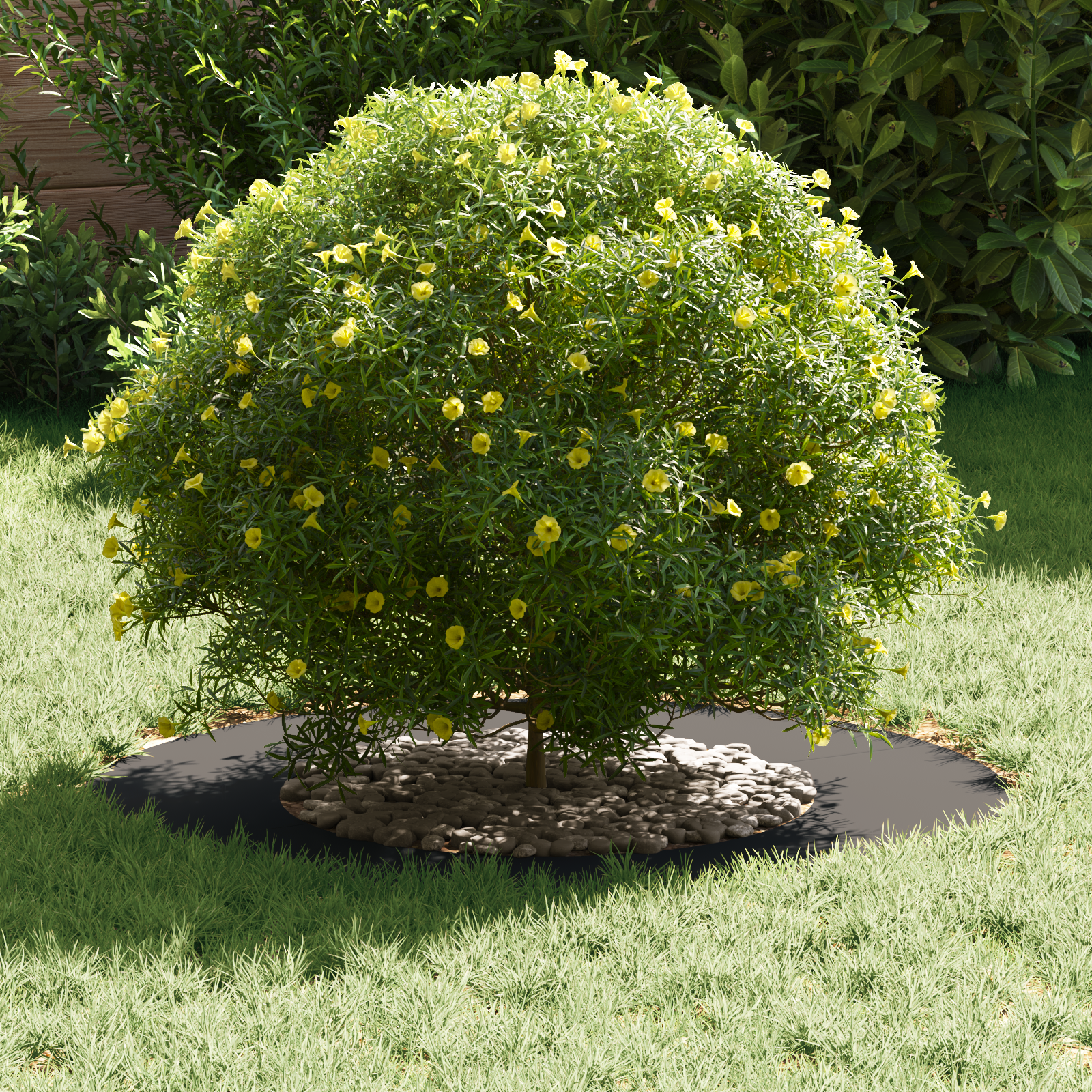 Vasi in Plastica Nero Plastica Grande Durevole Vaso in Plastica