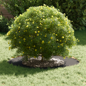 Vasi in Plastica Nero Plastica Grande Durevole Vaso in Plastica