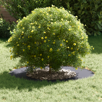 Set di Fioriere in Plastica Antracite Plastica Grande Durevole