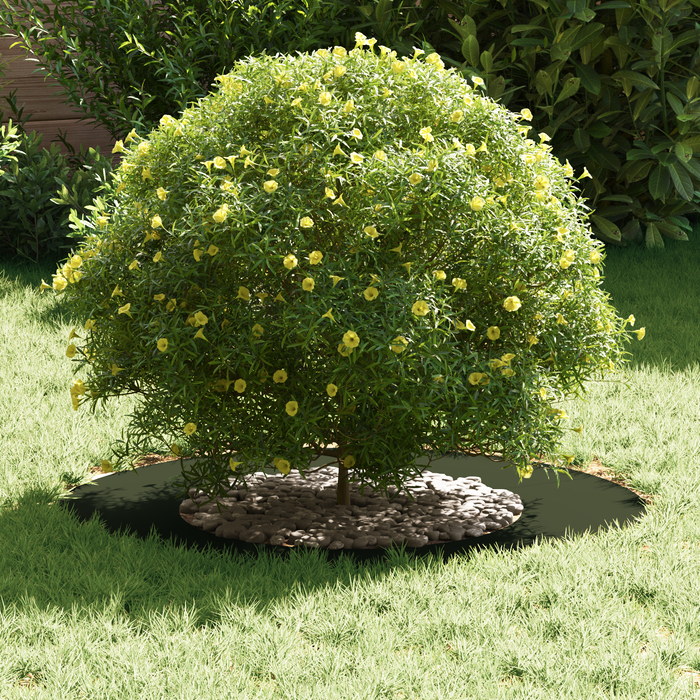 Fioriera in Plastica Verde oliva Plastica Grande