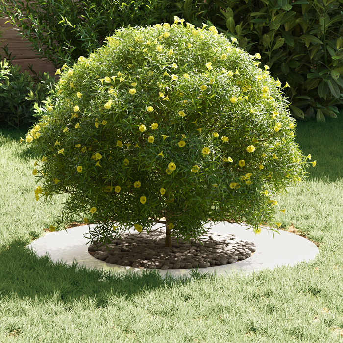 Fioriera in Acciaio Inox Acciaio Inossidabile Grande Durevole