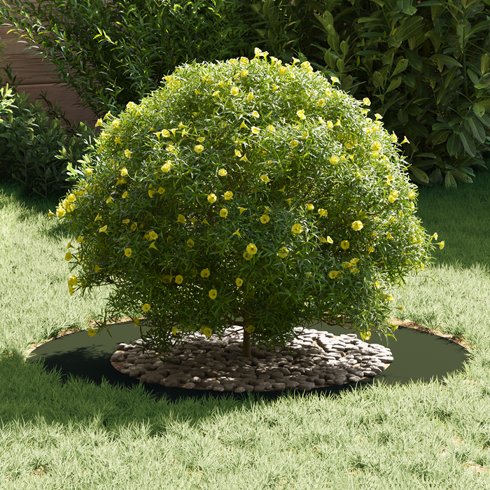 Fioriera in ceramica Verde oliva Ceramica Grande