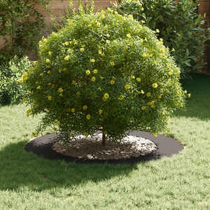 Set di Vasi in Plastica Nero Plastica 90 cm di diametro Durevole