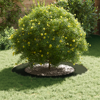 Fioriera in Ceramica Verde Oliva Ceramica Grande Fioriere