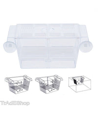 Incubatrice Cassetta Per Acquario Per Allevamento Separa Pesci Proteggi Uova         