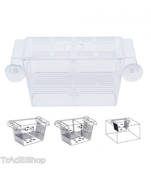 Incubatrice Cassetta Per Acquario Per Allevamento Separa Pesci Proteggi Uova         