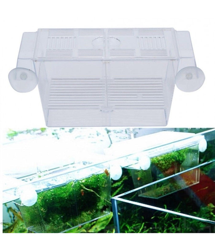 Incubatrice Cassetta Per Acquario Per Allevamento Separa Pesci Proteggi Uova         