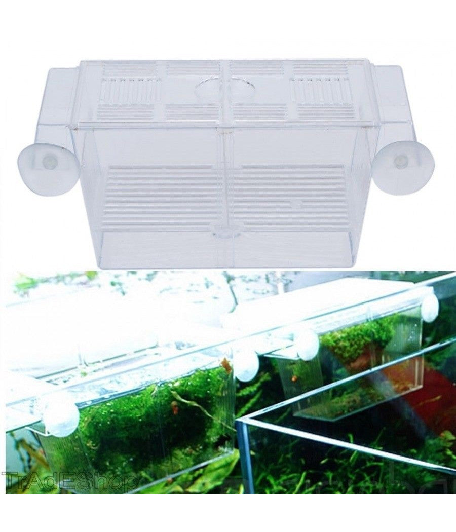 Incubatrice Cassetta Per Acquario Per Allevamento Separa Pesci Proteggi Uova         