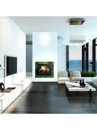 Inserto Stufa a legna  - W17 (16,1 kW) DEKOR ECO WR