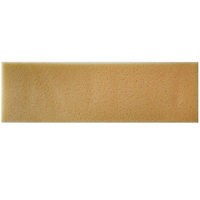 Frattone spugna sweepex attacco rapido senza manico 13x42cm pulizia fughe