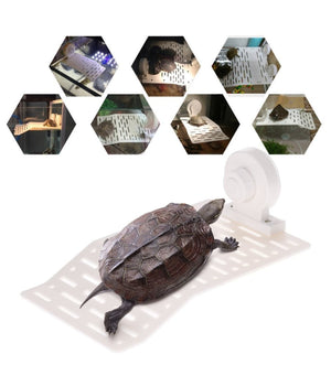 Isola Galleggiante Plastica Con Ventosa Piattaforma Tartarughe Rettili Acquario         