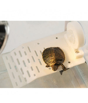 Isola Galleggiante Plastica Con Ventosa Piattaforma Tartarughe Rettili Acquario         